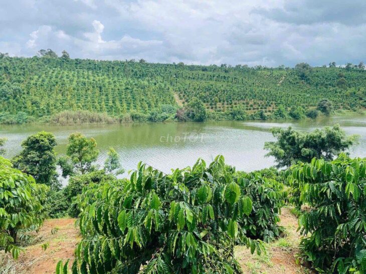 Bán Vườn Thuận An Bám đập cách tỉnh lộ 683 nhựa 300m, đã tách 5 sổ sẵn