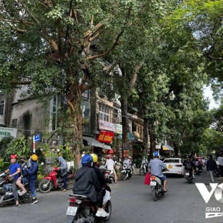 Bán nhà Bưởi, Ba Đình, phân lô, 3 gác, 43m2, 6 tầng thang máy, chỉ 14 tỷ