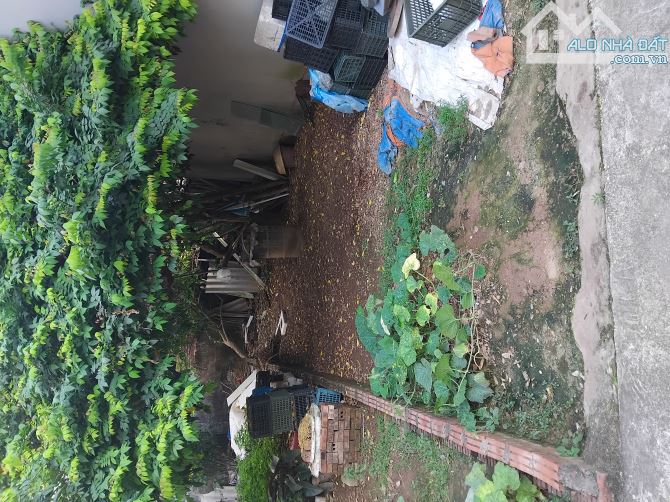 Hiếm, Chỉ 6.8 tỷ Sở Hữu Ngay 52m2 Đất ở Tu Hoàng, Nam Từ Liêm