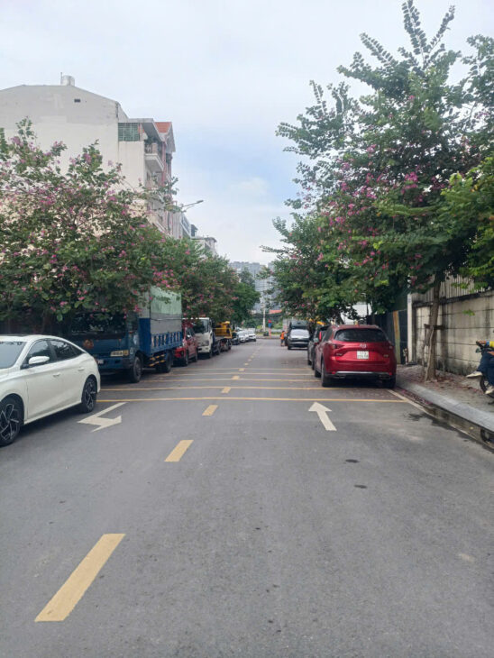 Bán 2 lô đất ghép lại tại Thảo Điền, Đường số 40, P. Thảo Điền, Thành phố Thủ Đức