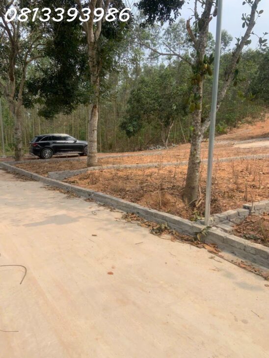 ???? “Đầu tư hôm nay – an cư mai sau!”