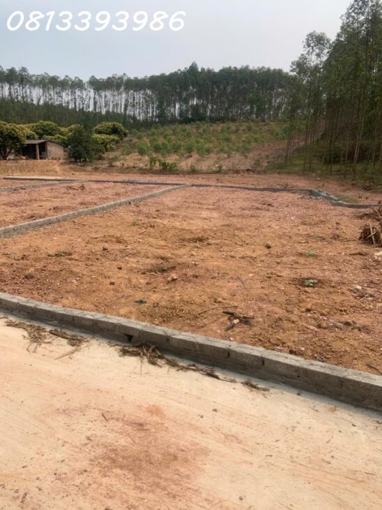 ???? “Bạn không mua đất hôm nay – người khác sẽ mua và bán lại cho bạn ngày mai!”