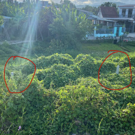 ĐẤT MT TRƯỜNG CHINH – CẨM LỆ – GIÁ CHỈ 2.4 TỶ 100M2 – ĐẦU TƯ QUÁ TỐT!