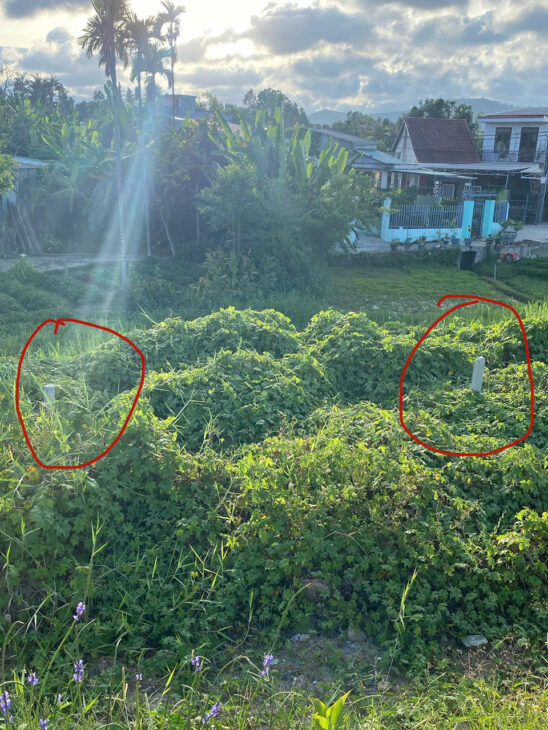 ĐẤT MT TRƯỜNG CHINH – CẨM LỆ – GIÁ CHỈ 2.4 TỶ 100M2 – ĐẦU TƯ QUÁ TỐT!