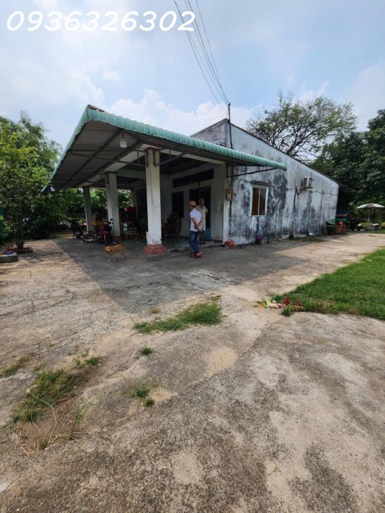 Nhà Tân Hiệp 18A Hóc Môn 1500m2 Ngang Khủng 25m