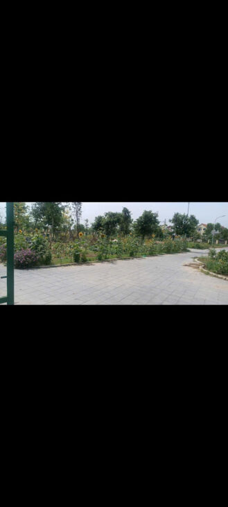 LÔ ĐẤT FO – LỄ PHÁP- TIÊN DƯƠNG- ĐÔNG ANH