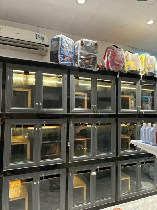 Q7, TPHCM ! Sang Pet Shop Địa chỉ: 03 Lê Thị Chợ, Phú Thuận, Liên hệ: 0905051294 – Mr Nhân