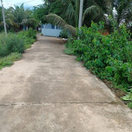 🌿 ĐẤT ĐẸP GẦN RẠCH – TIỀM NĂNG PHÁT TRIỂN HOMESTAY, DU LỊCH SINH THÁI