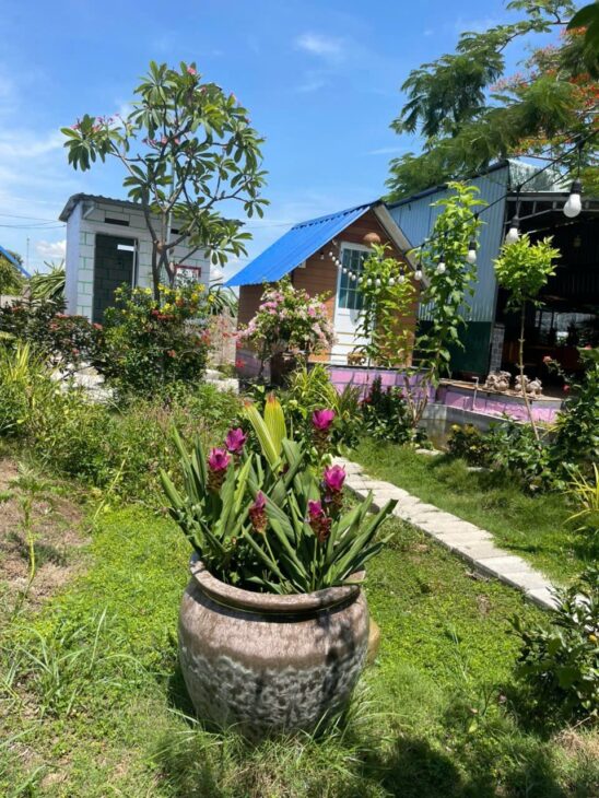 CHÍNH CHỦ CẦN BÁN Nhà Vườn Siêu Đẹp Tại Xã Hàm Cường, Hàm Thuận Nam, Bình Thuận