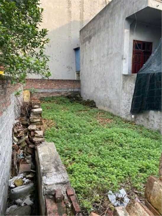Chính Chủ Cần Bán Lô Đất Đẹp – Giá Tốt Tại Tổ 8, Sát Cánh Mẹm Phường Tiền Phong, TP Thái Bình