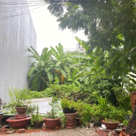 ĐẤT ĐẸP – GIÁ TỐT – CẦN BÁN NHANH LÔ ĐẤT ĐẸP Tại Phường Khê Mỹ, Quận Ngũ Hành Sơn, TP. Đà Nẵng.