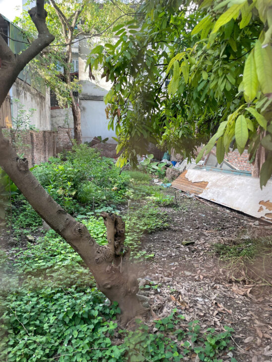 Đàm Quang Trung – Đất 41m2 – MT 4m – Ô tô – chỉ 5 t.ỷ