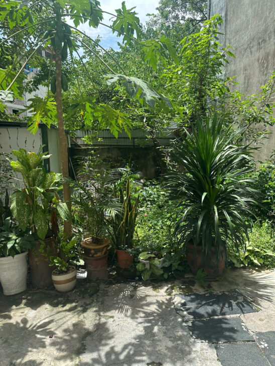 Bán 30m đất Lai Xá, Kim Chung, Hoài Đức, Hà Nội.