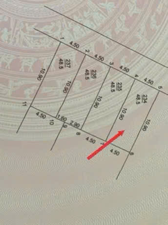 🌟🌟CHÍNH CHỦ CẦN BÁN 48,5M ĐẤT _ SIÊU PHẨM ĐẤT LÀNG NGHỀ TÁO – TAM THUẤN – PHÚC THỌ – HÀ NỘI 🌟🌟