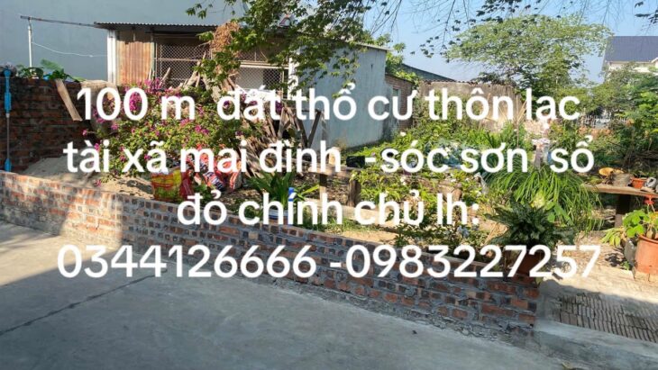 VỊ TRÍ ĐẸP – GIÁ TỐT- Chính Chủ Cần Bán Nhanh Đất Tại Lạc Tài, Mai Đình, Sóc Sơn, Hà Nội
