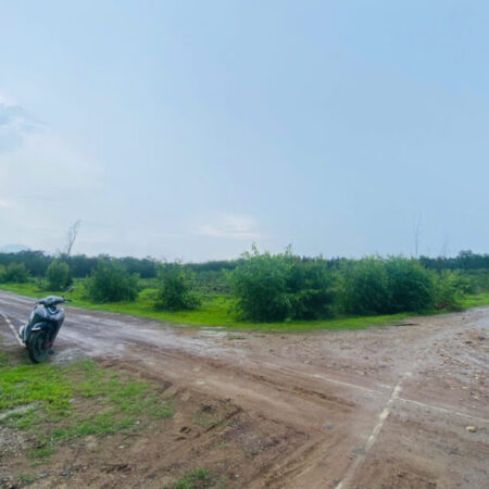 Bán ddaa50m x 50m đất thổ cư Tân Hà, Hàm Tân giá rẻ 45tr/m ngang