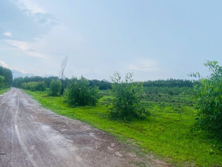 Bán ddaa50m x 50m đất thổ cư Tân Hà, Hàm Tân giá rẻ 45tr/m ngang