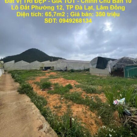 Đất VỊ TRÍ ĐẸP – GIÁ TỐT – Chính Chủ Bán 10 Lô Đất Phường 12, TP Đà Lạt, Lâm Đồng