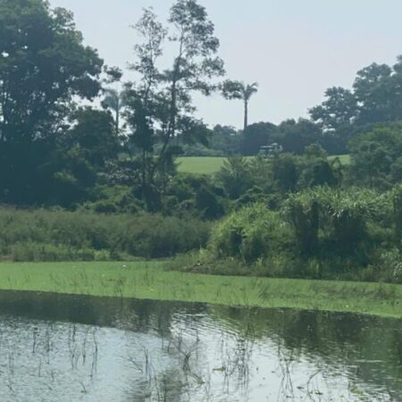 Đất siêu đẹp ở HỒ VĂN SƠN View Sân Gol Sky Lake , Nam Phương Tiến, Chương Mỹ, Hà Nội đang chờ