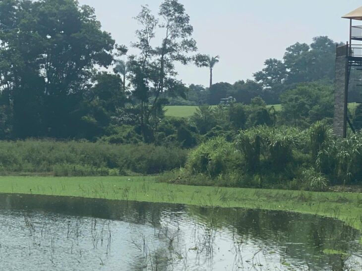 Đất siêu đẹp ở HỒ VĂN SƠN View Sân Gol Sky Lake , Nam Phương Tiến, Chương Mỹ, Hà Nội đang chờ