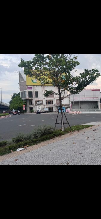 ĐẦU TƯ SINH LỜI – Chính Chủ Cần Bán Lô Đất Số 1 Trần Thị Lý, Phường Hòa Cường Bắc, Hải Châu, Đà Nẵng