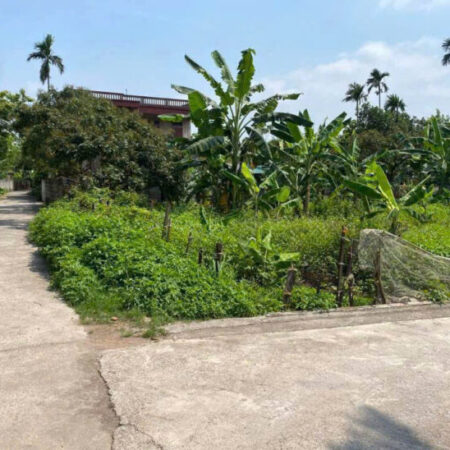 CHÍNH CHỦ CẦN CHUYỂN NHƯỢNG ĐẤT LÔ GÓC 620m²
