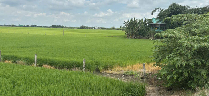 Bán đất full thổ cư, đường betong, p3 kiến tường loang an