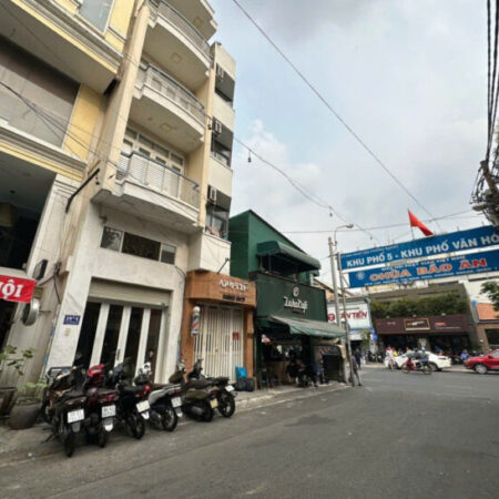 Hẻm xe hơi 10m – Trung tâm Q.1 – Xây căn hộ dịch vụ hút khách Tây – Giá sốc chỉ 12 Tỷ