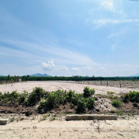 Bán 2849m2 đất Hẻm Lê Đức Thọ, Tân Bình, LaGi giá rẻ 800 triệu