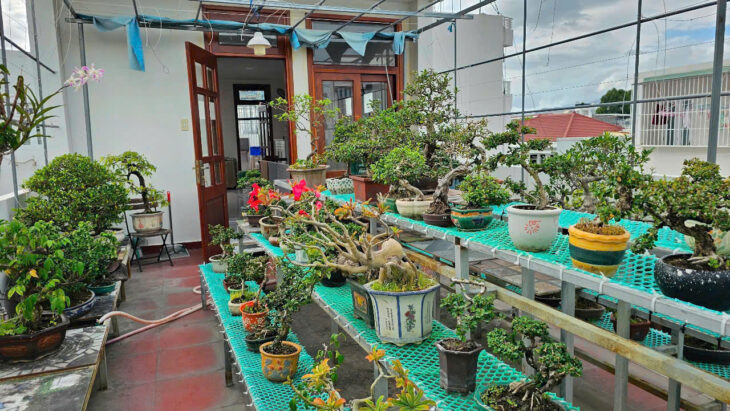 Nhà 3 tầng đường Hồ Xuân Hương – Nha Trang Diện tích 101m2 ngang 5,4m Giá 7,3 tỷ thương