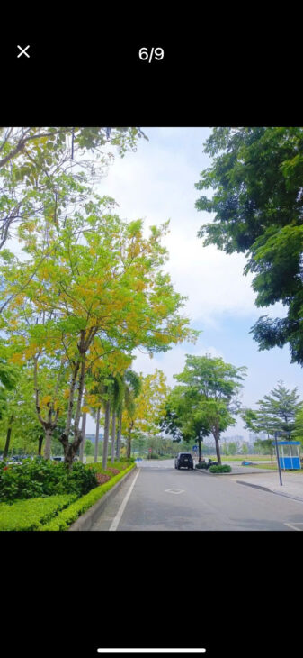 Bán Nhà Vĩnh Hải, Nha Trang, Khánh Hòa Diện tích 130m2 giá tổng 9ty360 triệu mọi thông tin chi