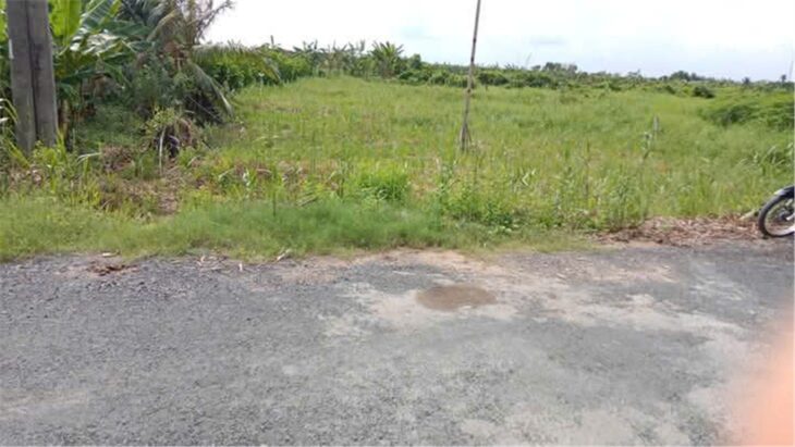 Chính Chủ Bán Đất Lộ Vàm Bi – Trường Hòa – 4 Tổng, Phong Điền, TP Cần Thơ