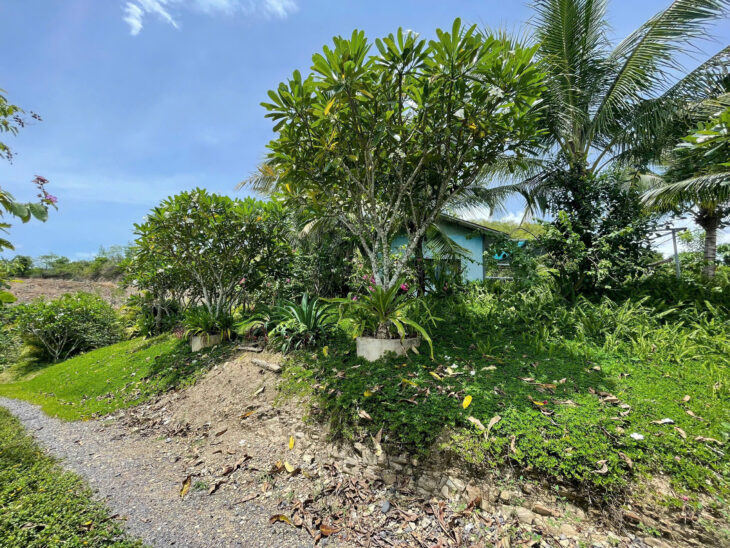 ban 4700m thôn Nước Nhĩ, Khánh phú ngang 78m bám đường oto betong 6m. gia 2ty650 Lh na