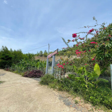 ban 4700m thôn Nước Nhĩ, Khánh phú ngang 78m bám đường oto betong 6m. gia 2ty650 Lh na