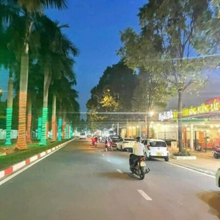 CHÍNH CHỦ BÁN ĐẤT SIÊU HIẾM – MẶT TIỀN ĐƯỜNG GS1, PHƯỜNG ĐÔNG HOÀ- TP HỒ CHÍ MINH( TP. THỦ ĐỨC (CŨ)