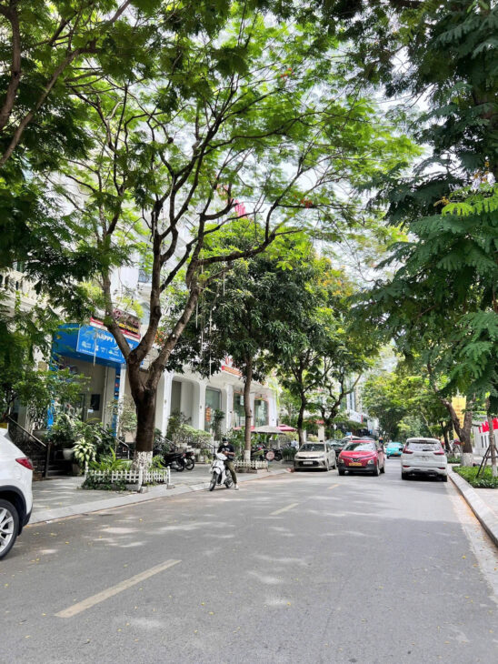 BÁN BIỆT THỰ LIỀN KỀ THE PREMIER, TÔN THẤT THUYẾT, CẦU GIẤY – 109M² x 6T CÓ HẦM- GIÁ 58 TỶ