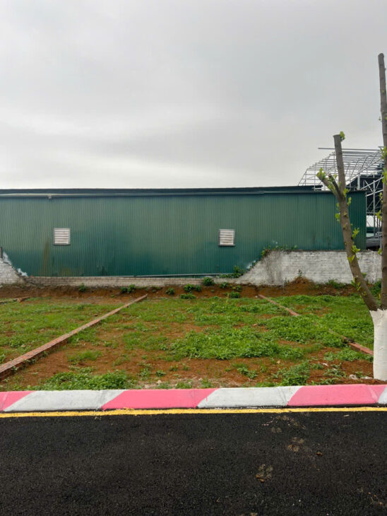 Đất nền Quất Lâm 1.55 tỷ – 100m² gần biển, sổ riêng, dân cư sầm uất – Nguyễn Hùng BĐS – 0989333012