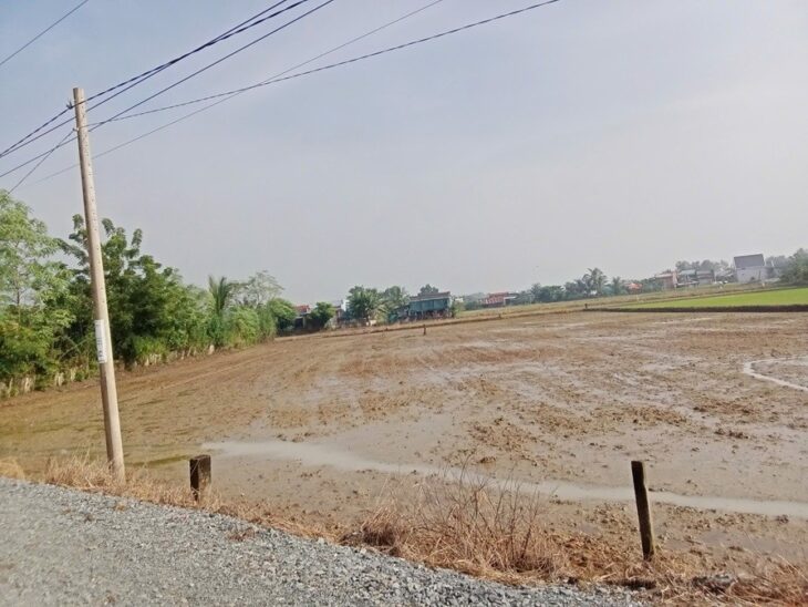 ĐẤT ĐẸP – GIÁ TỐT – CẦN BÁN LÔ ĐẤT Vị Trí Đắc Địa Tại Xã Tân Lân, Cần Đước, Long An