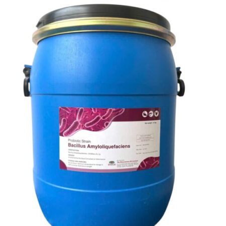 Bacillus Amyloliquefaciens, thức ăn bổ sung đường ruột tôm cá, xử lý môi trường nước