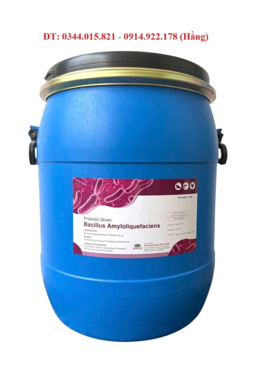 Men vi sinh Bacillus Amyloliquefaciens, hỗ trợ đường ruột tôm cá, xử lý môi trường nước