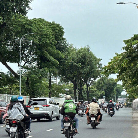 Giảm 3 TỶ còn 27 TỶ đường 16m Nguyễn Kiệm 127m2 ngang 6.5m 6 lầu T.máy ngay BV 175.