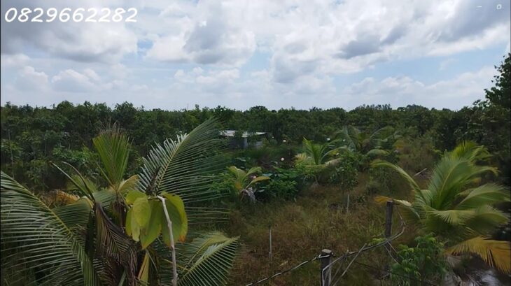 Bán Đất Vườn Cây Ăn Trái, Hòa Long, Đồng Tháp DT 44000m2, Giá 22 Tỷ, Sổ Hồng Chính Chủ.