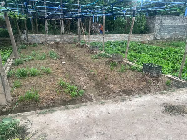 CHÍNH CHỦ GỬI BÁN – DUY NHẤT 1 LÔ 42 M ĐẤT ĐẸP TẠI TÍCH GIANG – PHÚC THỌ – HÀ NỘI