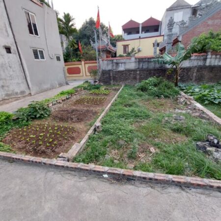 🚨 BÁN ĐẤT ĐẸP VÀNH ĐAI 4 – ĐỨC THƯỢNG, HOÀI ĐỨC
