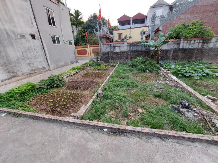 🚨 BÁN ĐẤT ĐẸP VÀNH ĐAI 4 – ĐỨC THƯỢNG, HOÀI ĐỨC