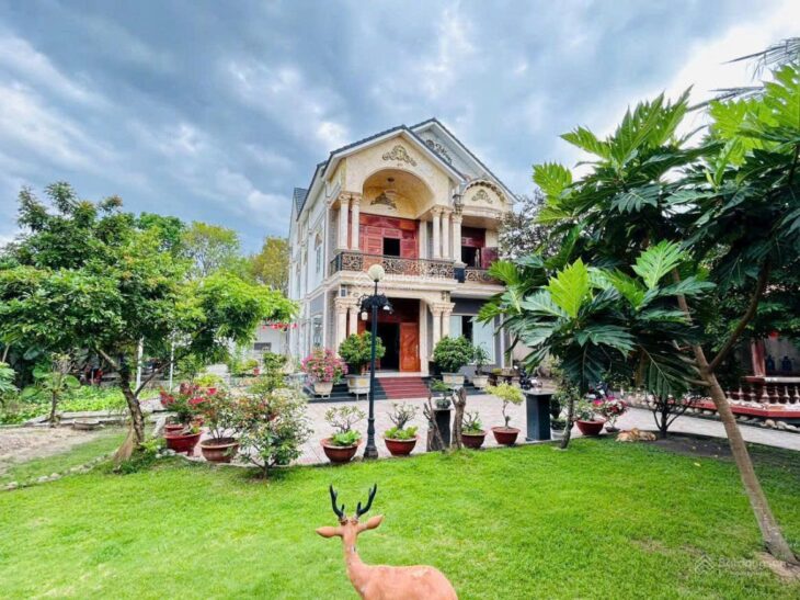 Bán BT 1524m2, 24 triệu/m2 TM2 tại Nguyễn Văn Thành, Định Hòa, Thủ Dầu Một, Bình Dương