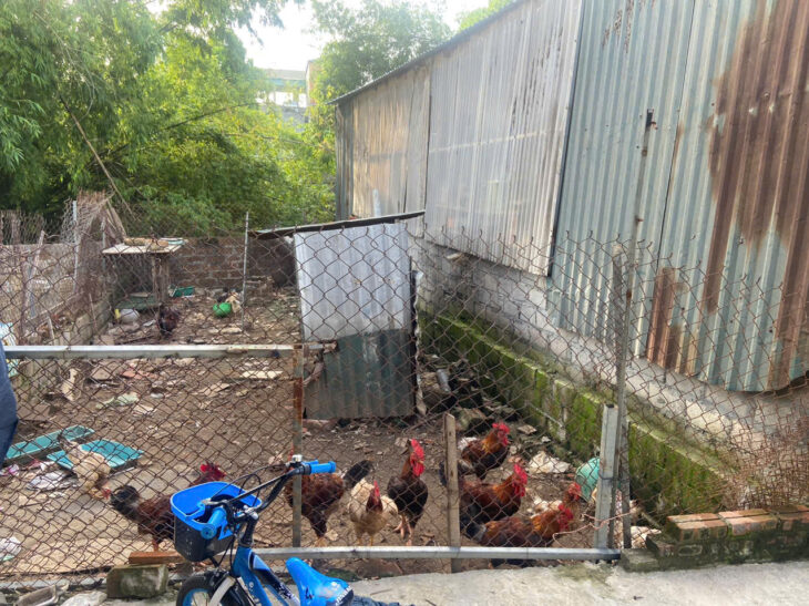 HOÀI ĐỨC, HÀ NỘI