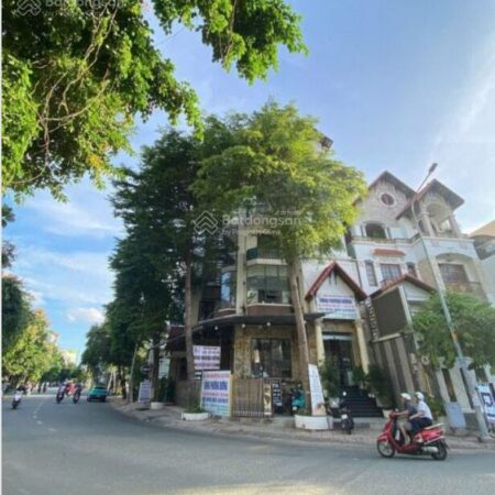 Siêu phẩm, Biệt thự 2MT 46 – 48 Diệp Minh Châu, P.TSN, Tân Phú. Dt 13.7×17.6m2 (165m2) Giá 33.5 tỷ