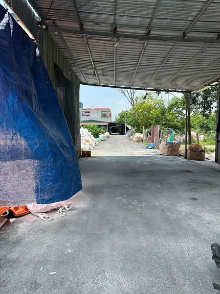 ???? SIÊU PHẨM ĐẤT ĐẤU GIÁ GIÁ TỐT – PHỤNG THƯỢNG _ PHÚC THỌ _ HÀ NỘI ????