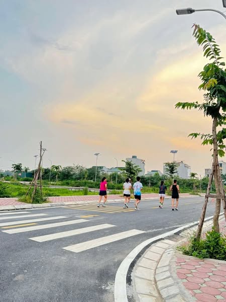 CẦN BÁN 50M ĐẤT ĐG ĐÒNG SẬY, ĐAN PHƯỢNG, HÀ NỘI. CƠ SỞ HẠ TẦNG ĐỒNG BỘ, DÂN CƯ ĐÔNG ĐÚC, SẦM UẤT,